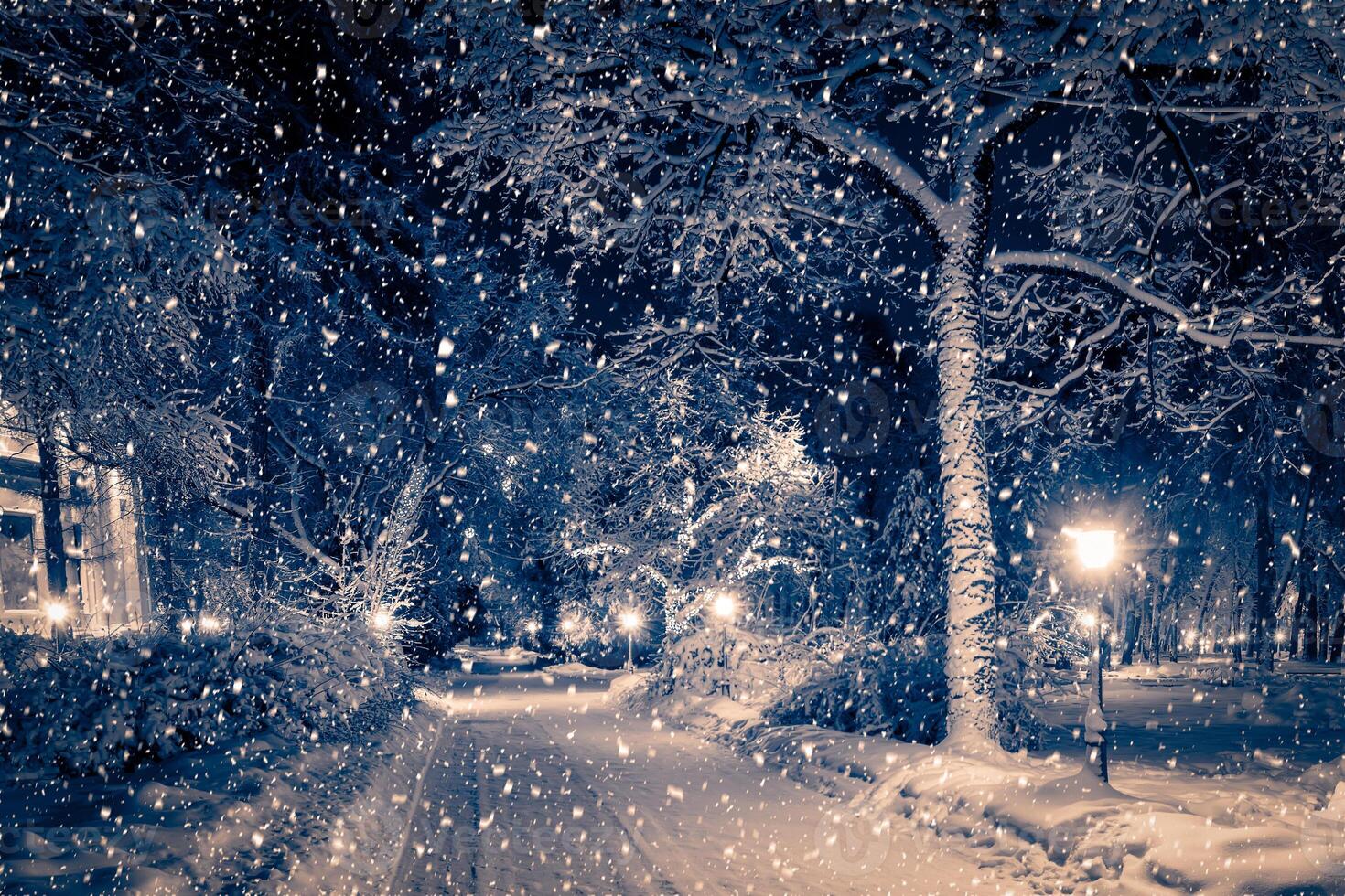 Winter night park with lanterns, pavement and trees covered with snow in snowfall. photo