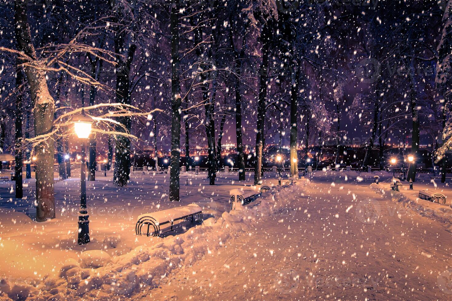 Winter night park with lanterns, pavement and trees covered with snow in snowfall. photo