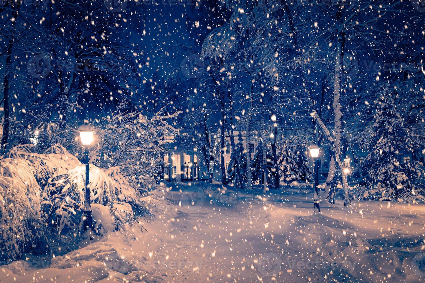 Winter night park with lanterns, pavement and trees covered with snow in snowfall. photo