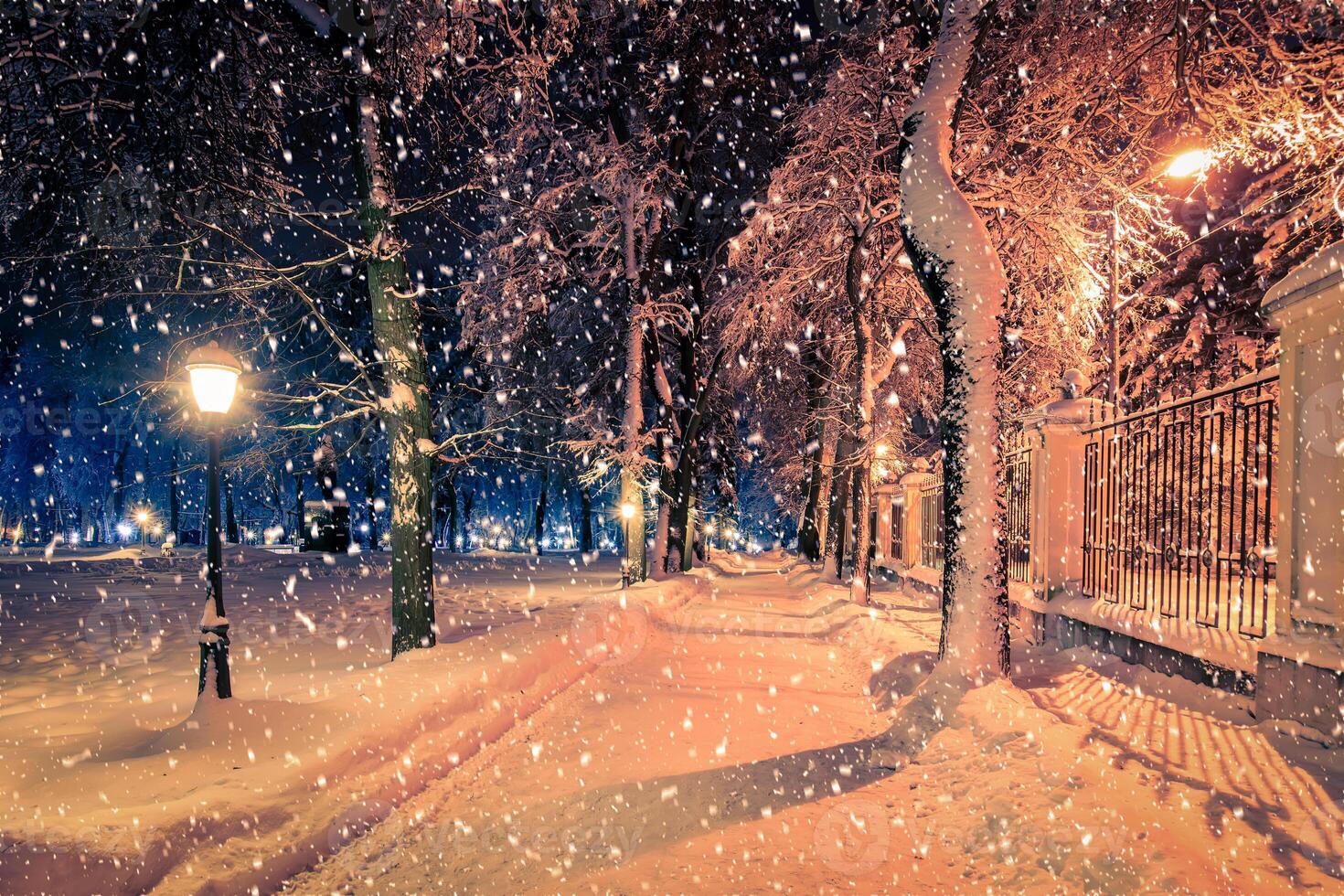 Winter night park with lanterns, pavement and trees covered with snow in snowfall. photo