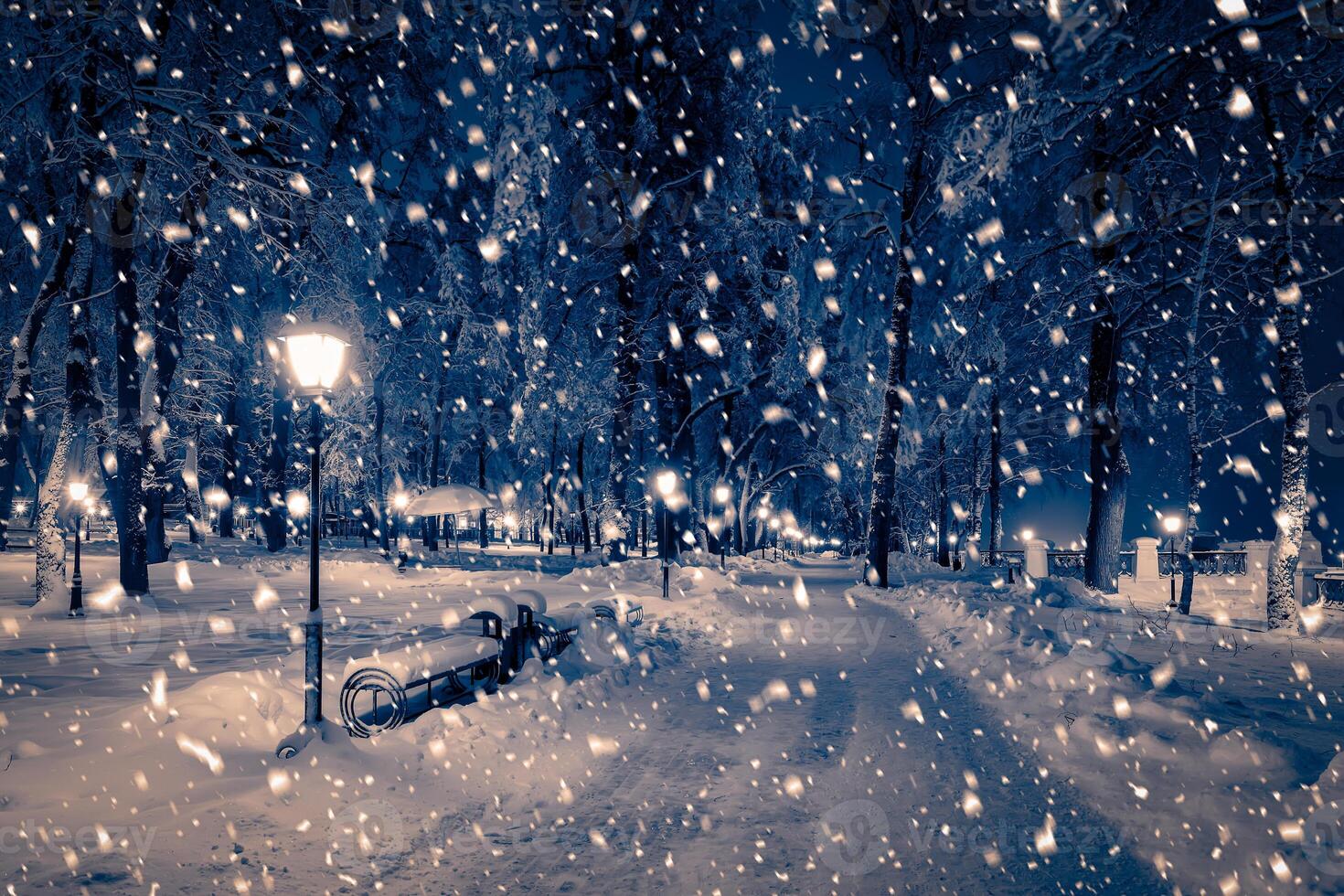 Winter night park with lanterns, pavement and trees covered with snow in snowfall. photo