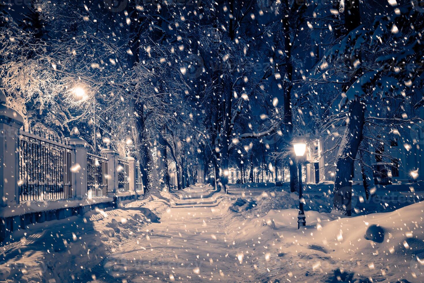 Winter night park with lanterns, pavement and trees covered with snow in snowfall. photo