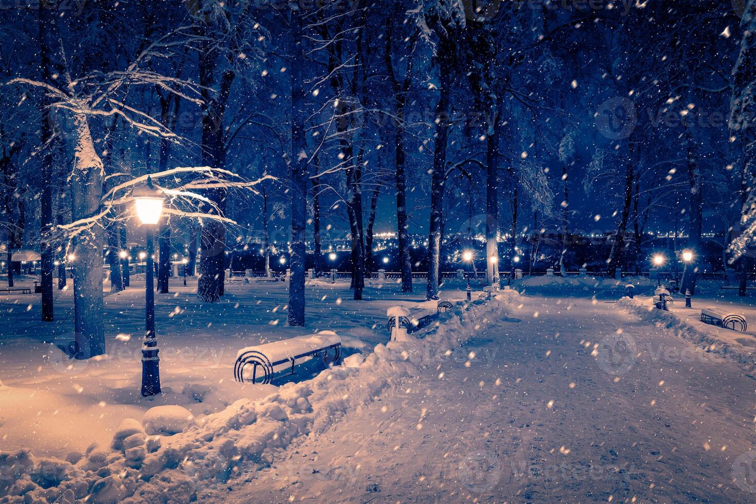 Winter night park with lanterns, pavement and trees covered with snow in snowfall. photo