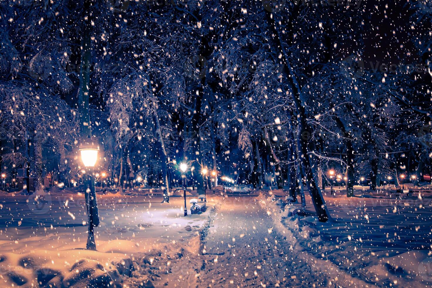 Winter night park with lanterns, pavement and trees covered with snow in snowfall. photo