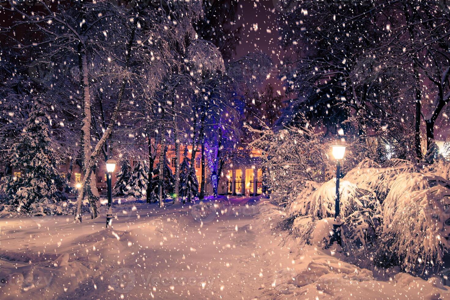 Winter night park with lanterns, pavement and trees covered with snow in snowfall. photo