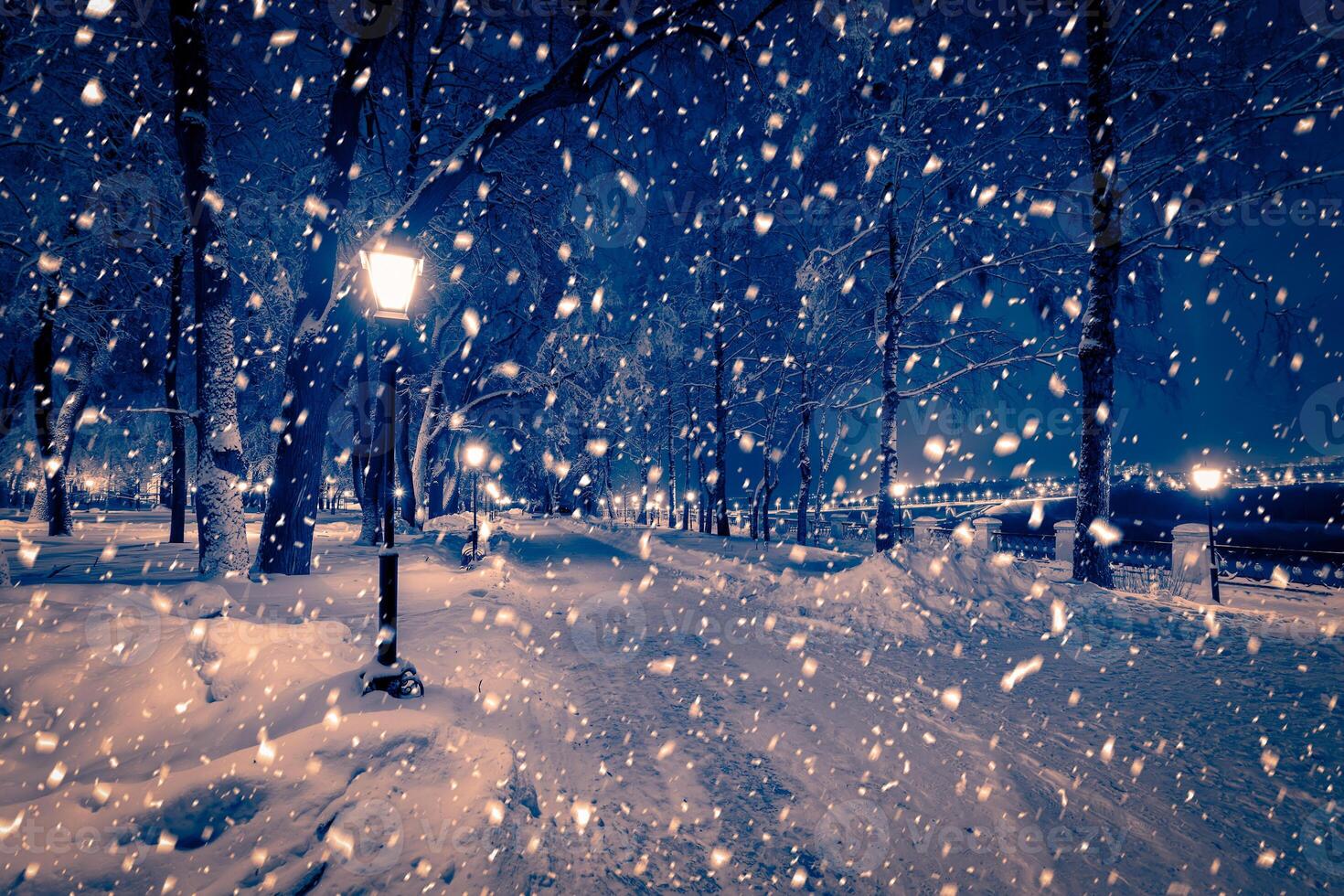 Winter night park with lanterns, pavement and trees covered with snow in snowfall. photo