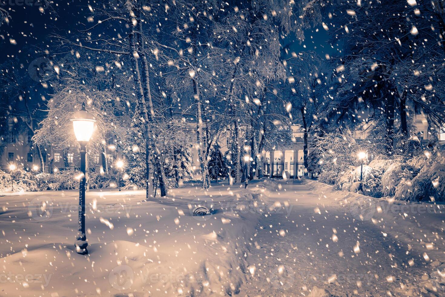 Winter night park with lanterns, pavement and trees covered with snow in snowfall. photo