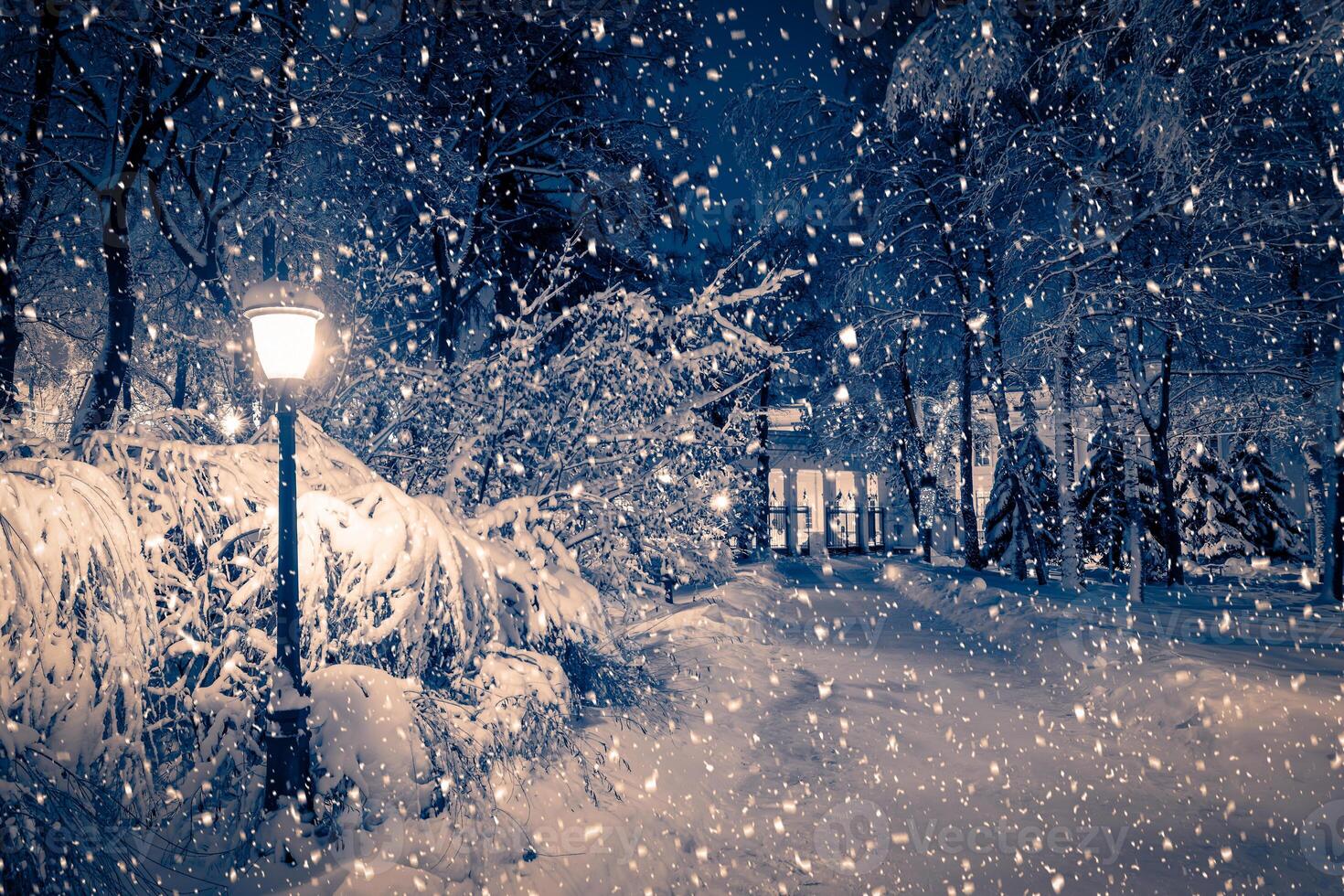 Winter night park with lanterns, pavement and trees covered with snow in snowfall. photo