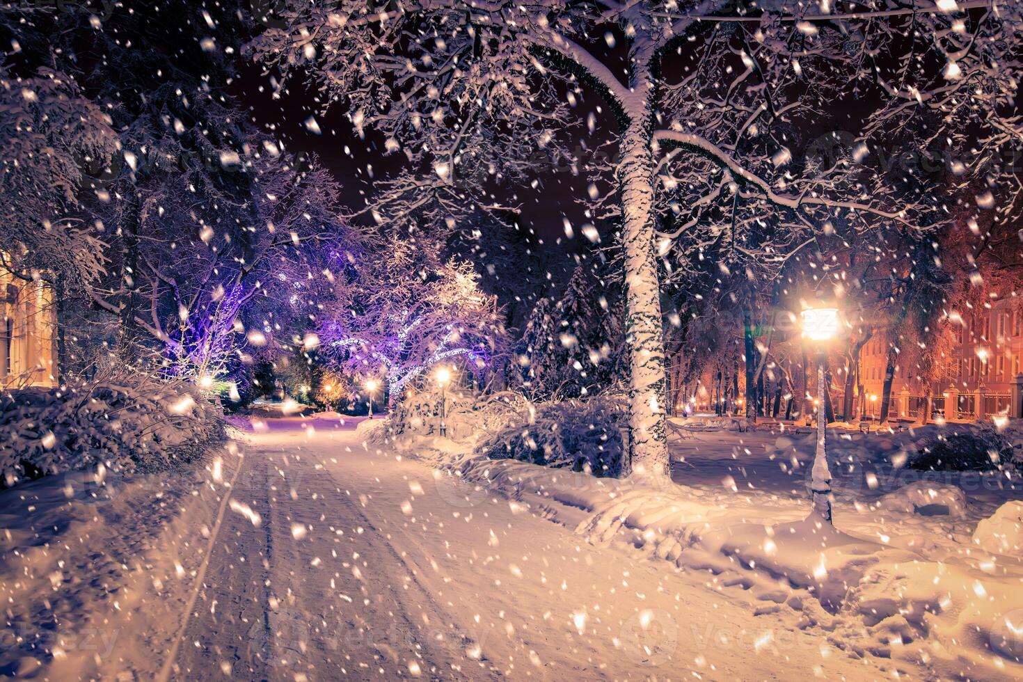 Winter night park with lanterns, pavement and trees covered with snow in snowfall. photo