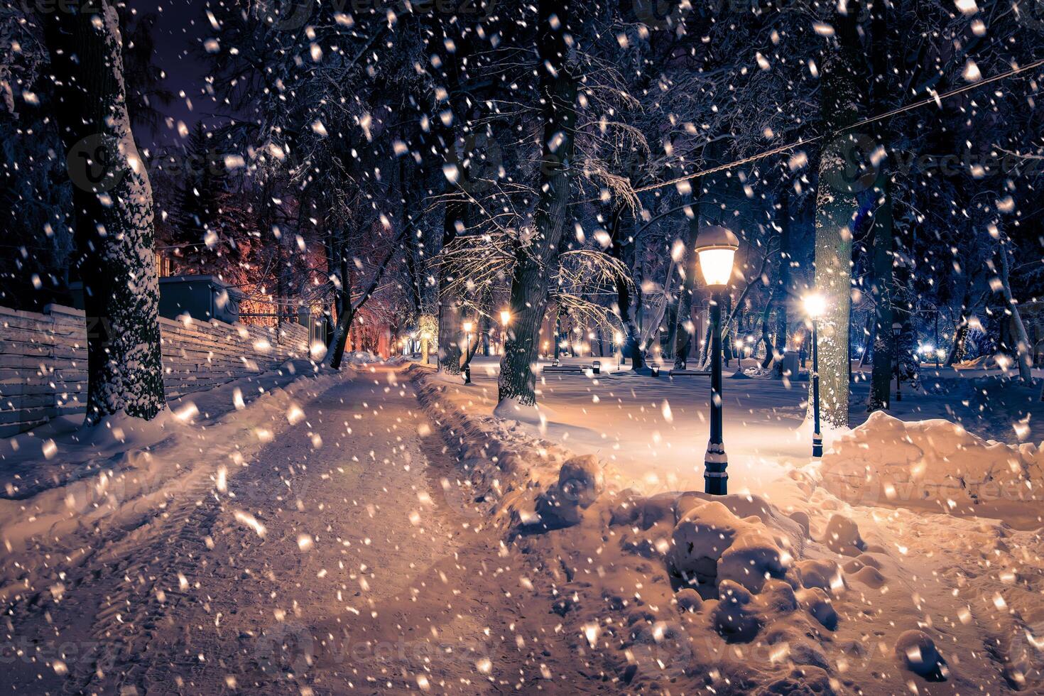 Winter night park with lanterns, pavement and trees covered with snow in snowfall. photo