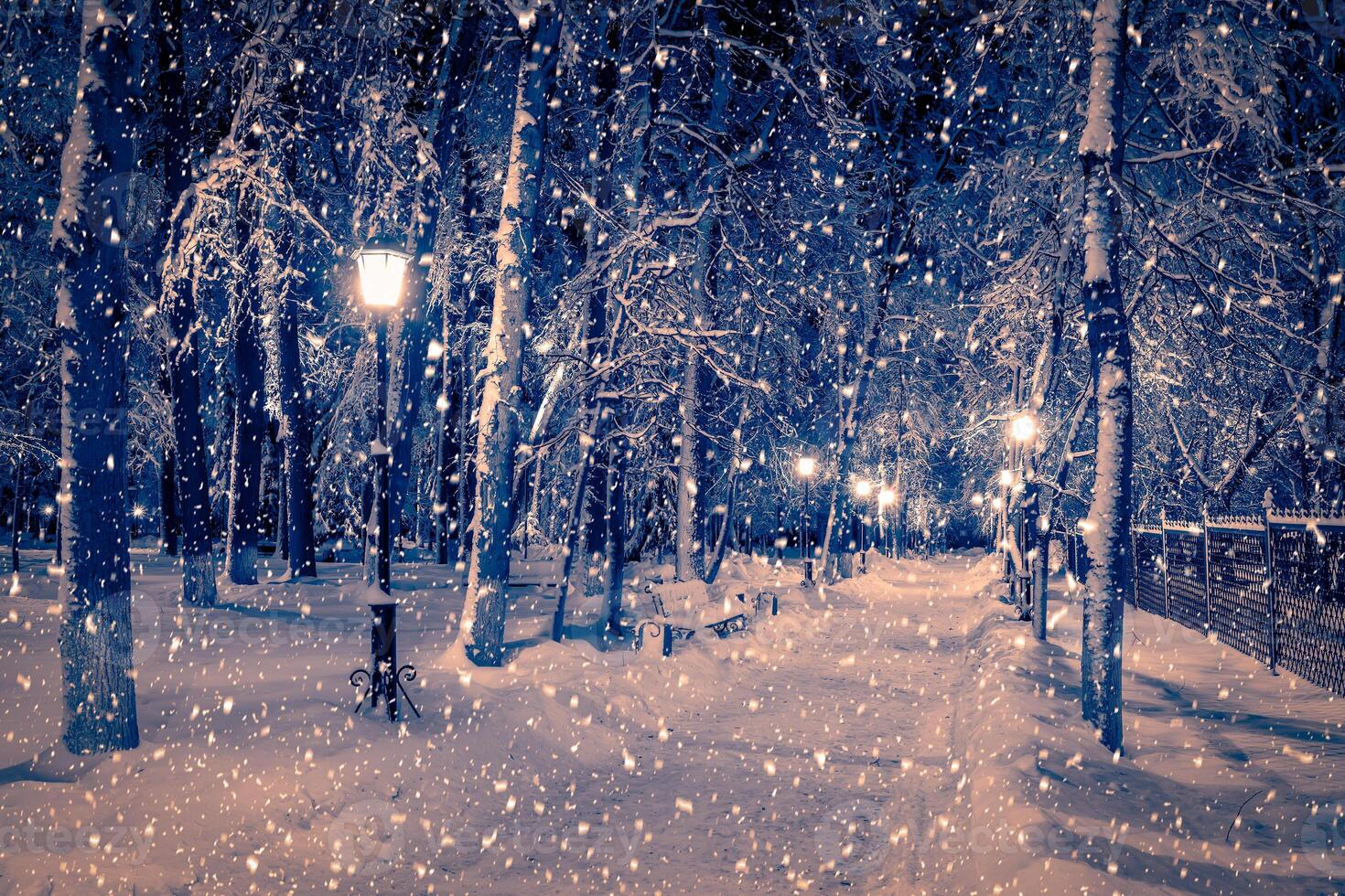 Winter night park with lanterns, pavement and trees covered with snow in snowfall. photo