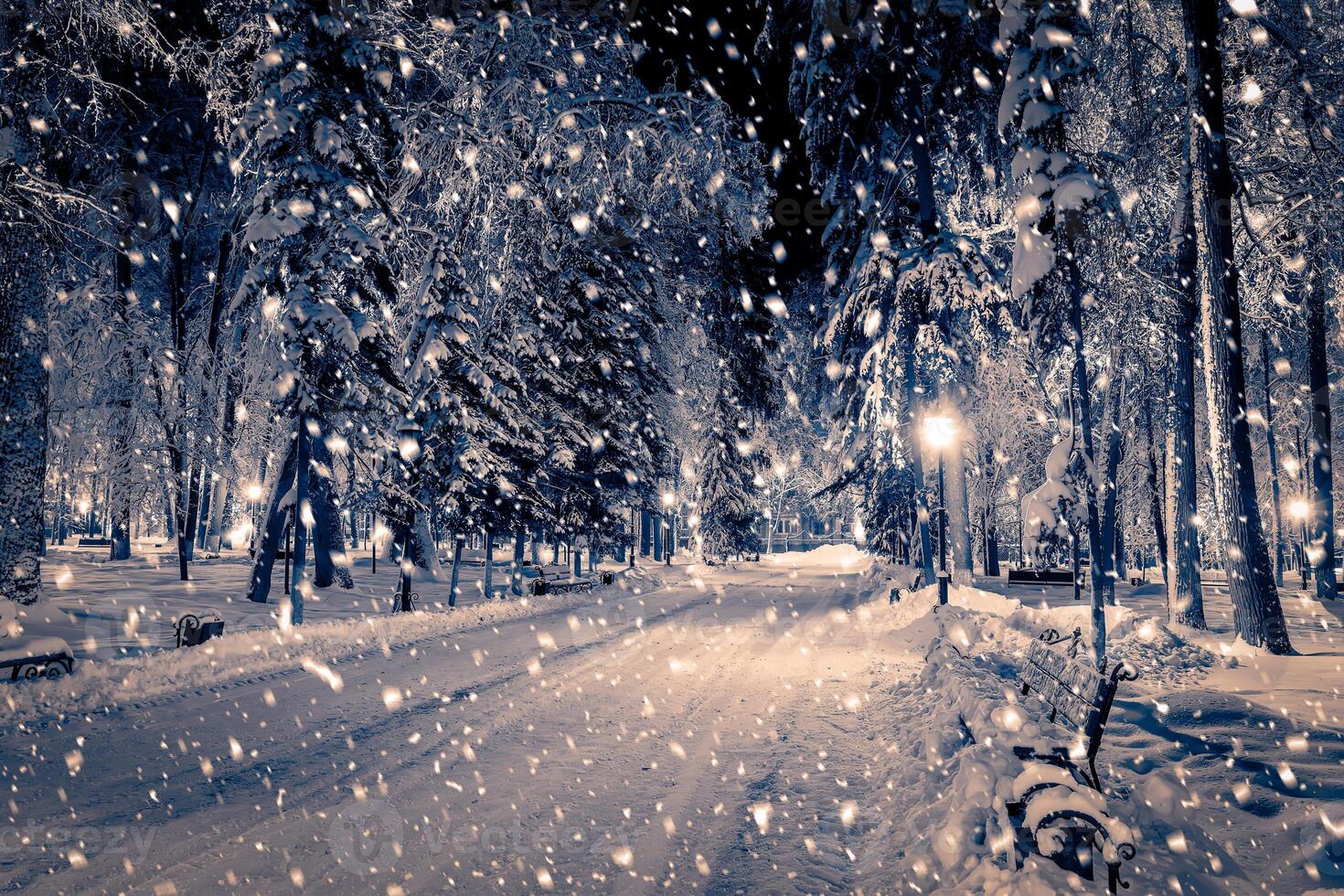 Winter night park with lanterns, pavement and trees covered with snow in snowfall. photo