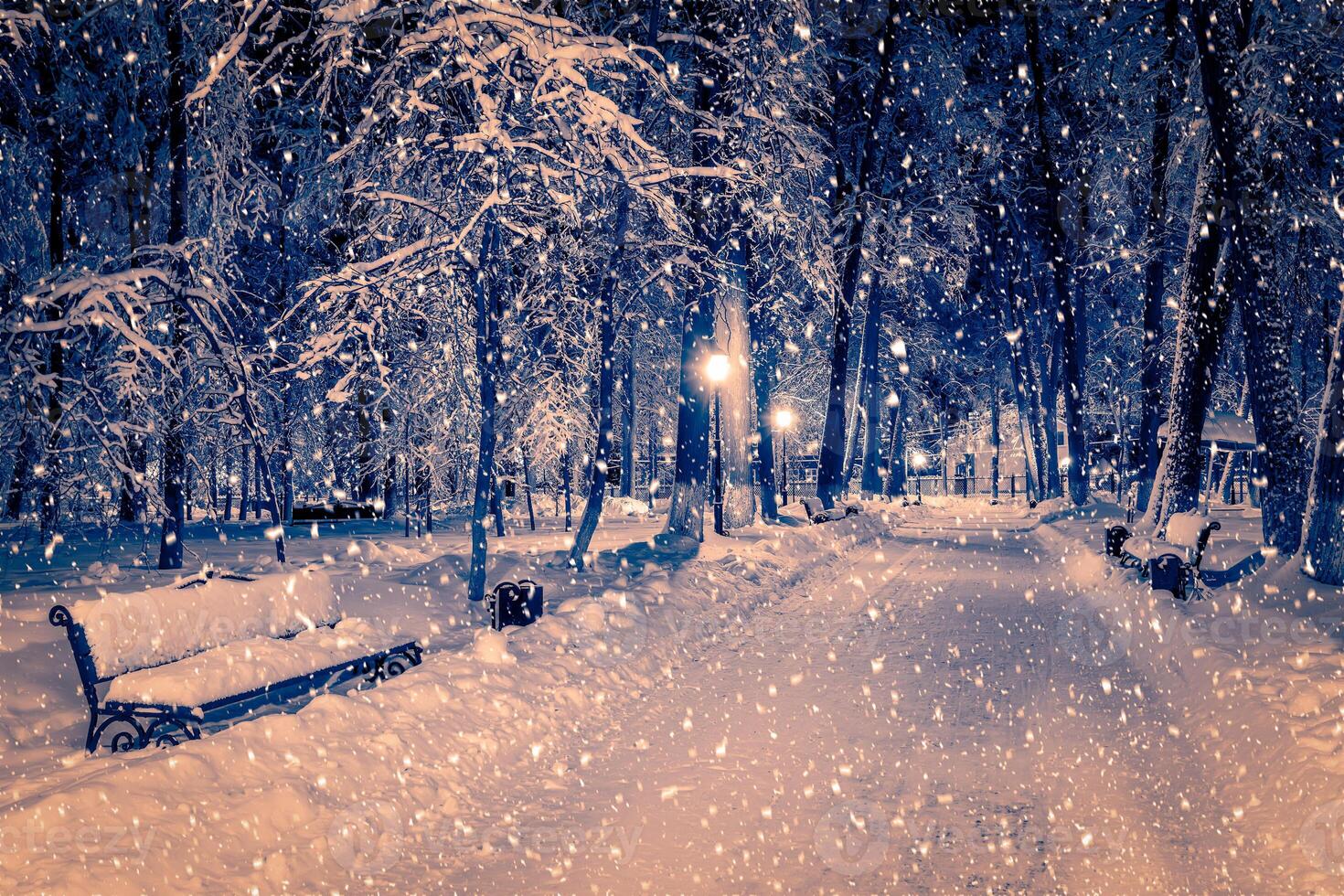 Winter night park with lanterns, pavement and trees covered with snow in snowfall. photo