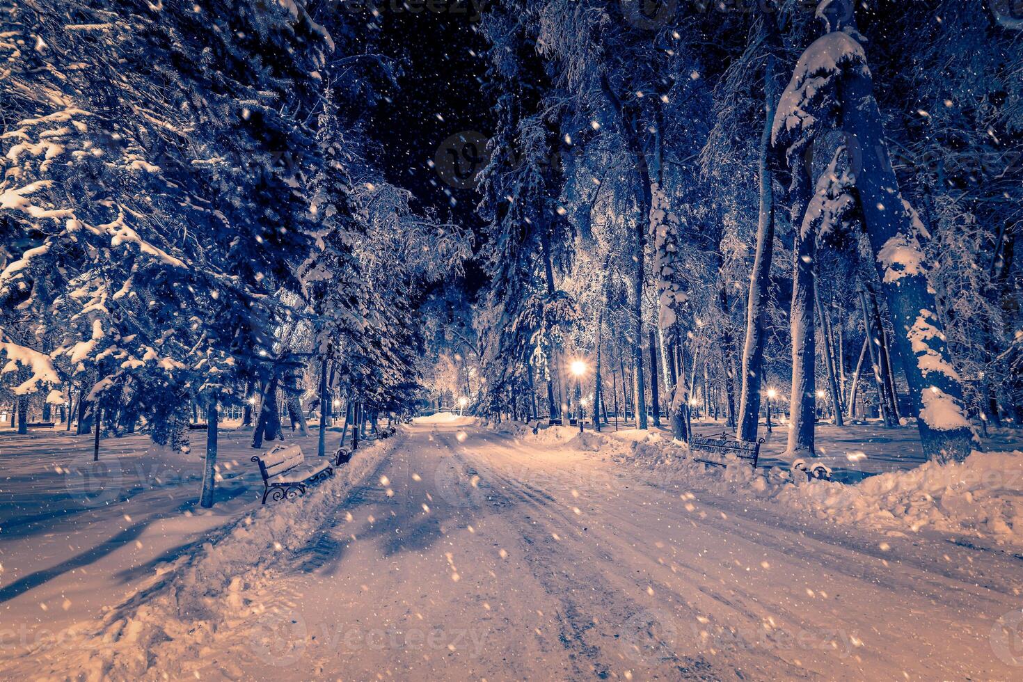 Winter night park with lanterns, pavement and trees covered with snow in snowfall. photo