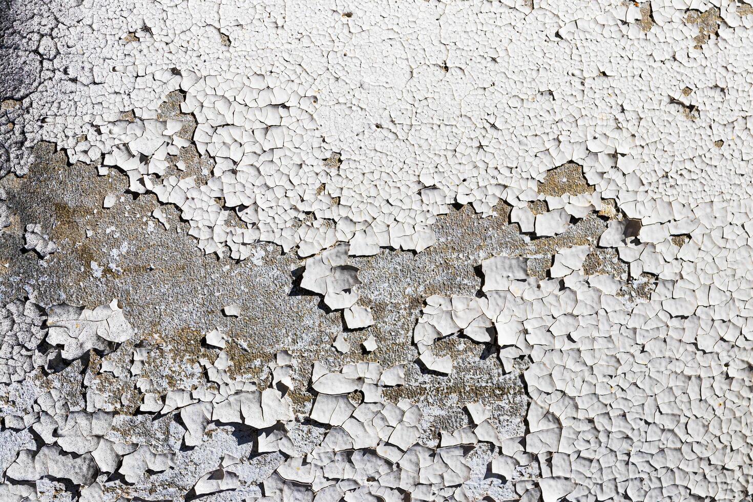 Texture of old white peeling paint on a concrete surface. Abstract backdrop for design. photo