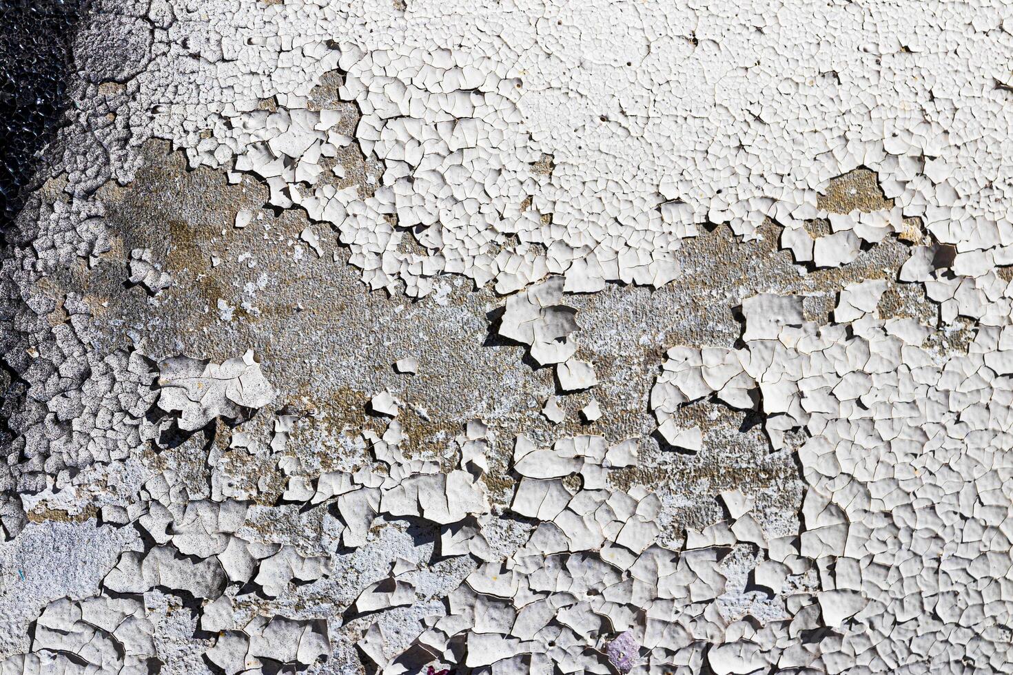 Texture of old white peeling paint on a concrete surface. Abstract backdrop for design. photo
