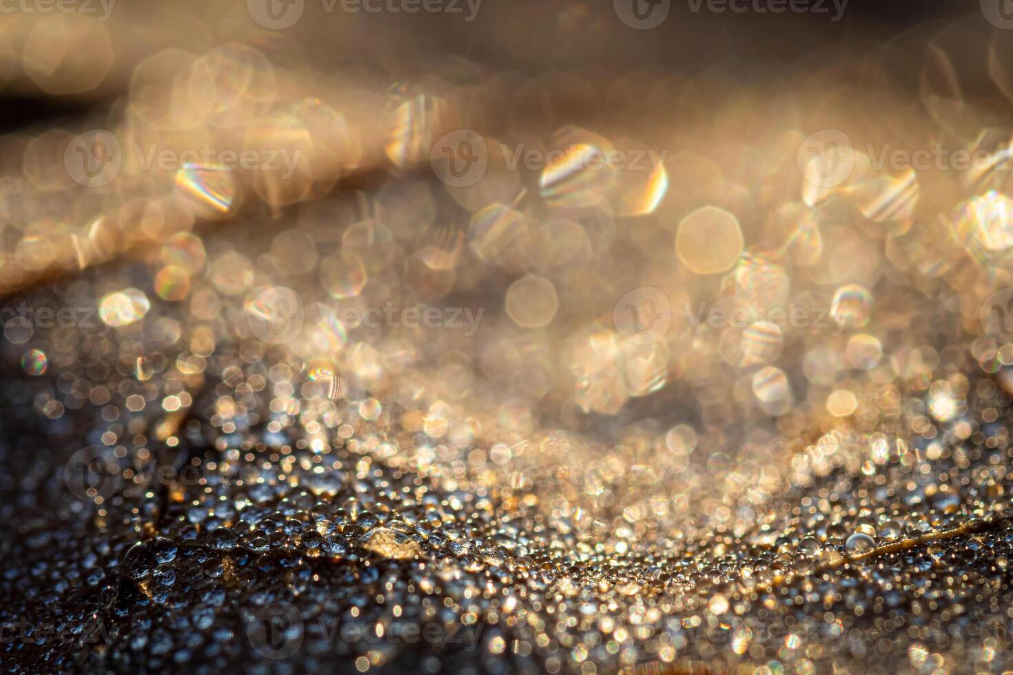 Dew drops on an autumn fallen leaf, shimmering in the sun, shot in close-up with bokeh. Abstract macro backdrop. photo