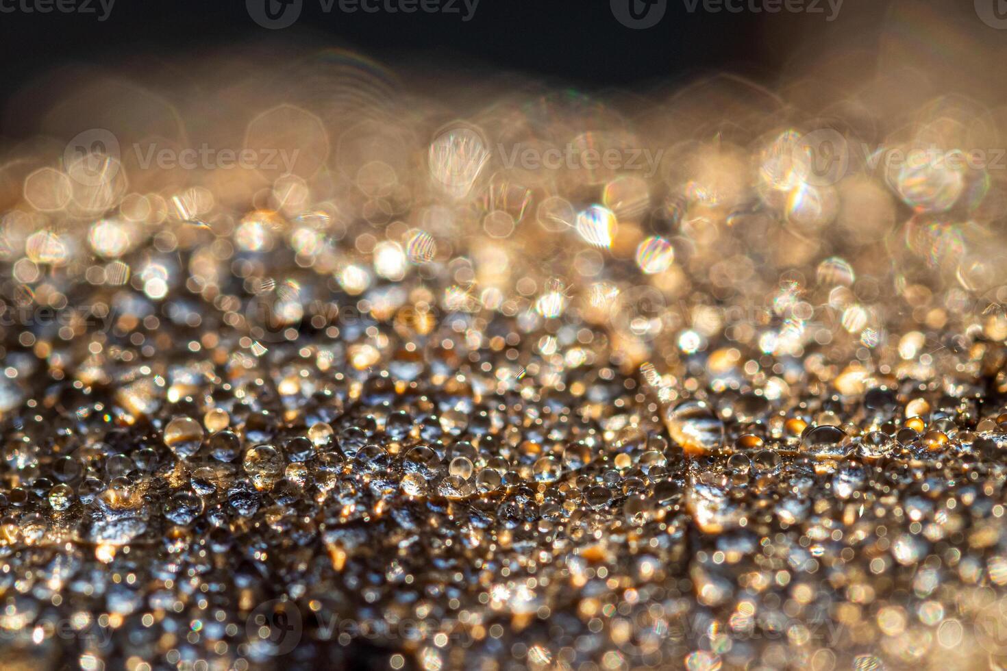 Dew drops on an autumn fallen leaf, shimmering in the sun, shot in close-up with bokeh. Abstract macro backdrop. photo