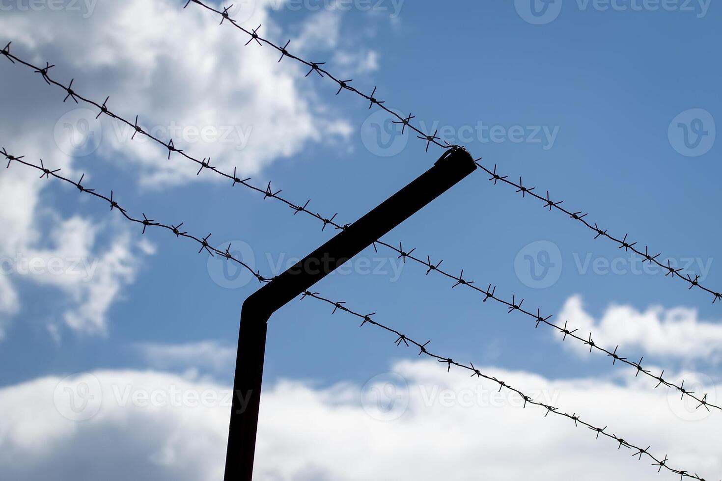 Barbed wire on the background of the cloudy sky. The concept of border closure, prison or loss of freedom. photo