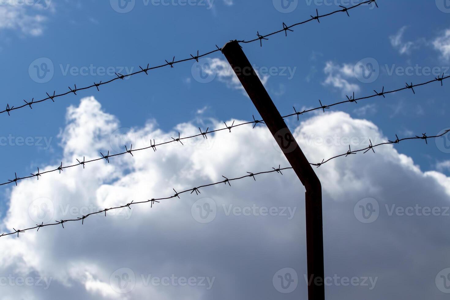 Barbed wire on the background of the cloudy sky. The concept of border closure, prison or loss of freedom. photo