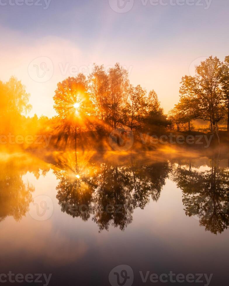 Golden misty sunrise on the pond in the autumn morning. Trees with rays of the sun cutting through it, reflected in the water. photo