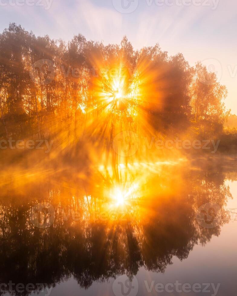 Golden misty sunrise on the pond in the autumn morning. Trees with rays of the sun cutting through it, reflected in the water. photo