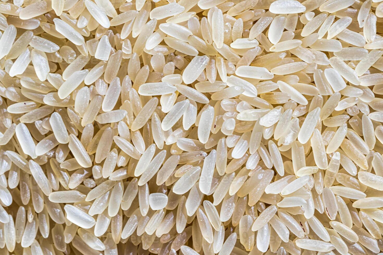 White rice grains background or texture. Gluten-Free and healthy vegeterian food. photo