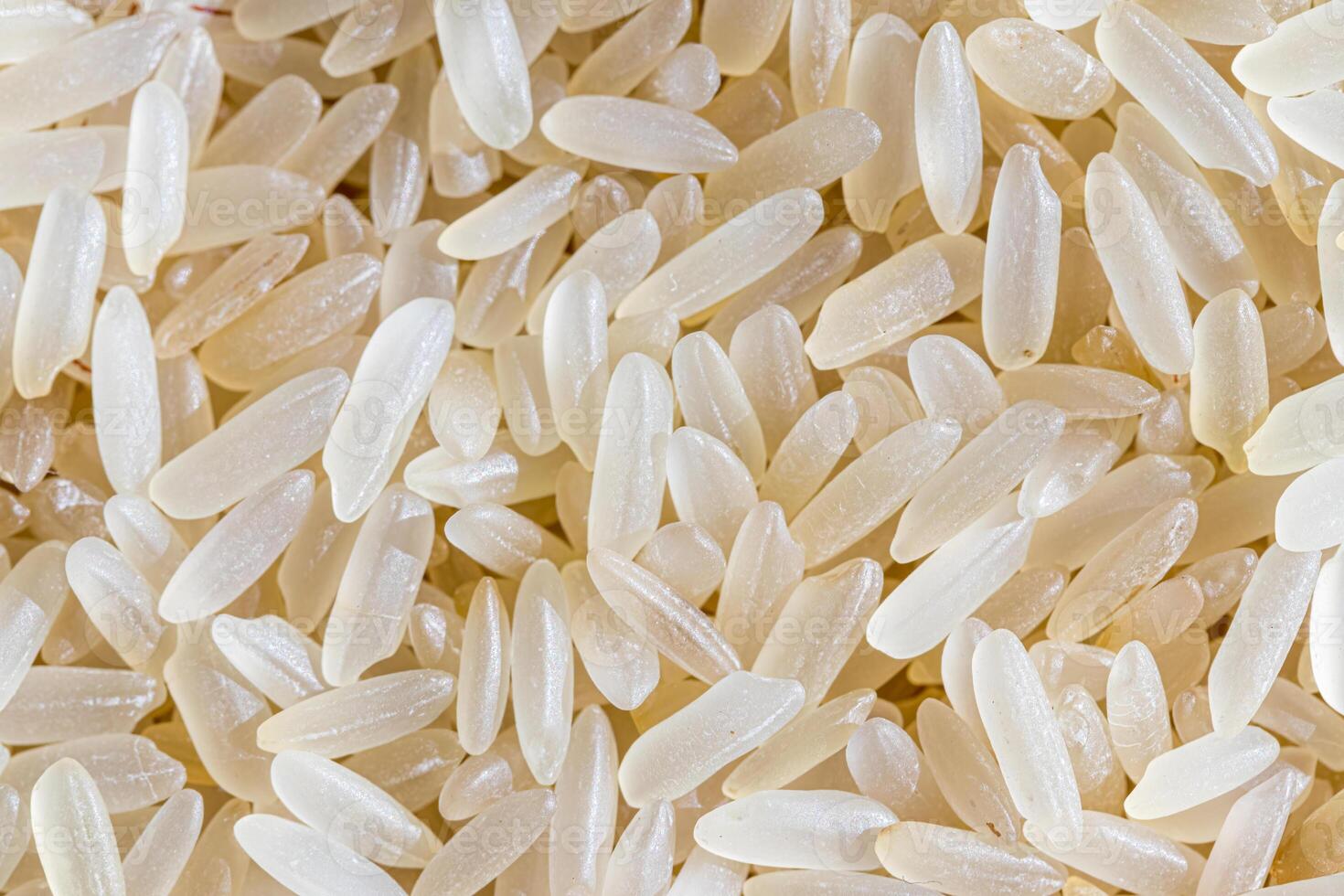 White rice grains background or texture. Gluten-Free and healthy vegeterian food. photo