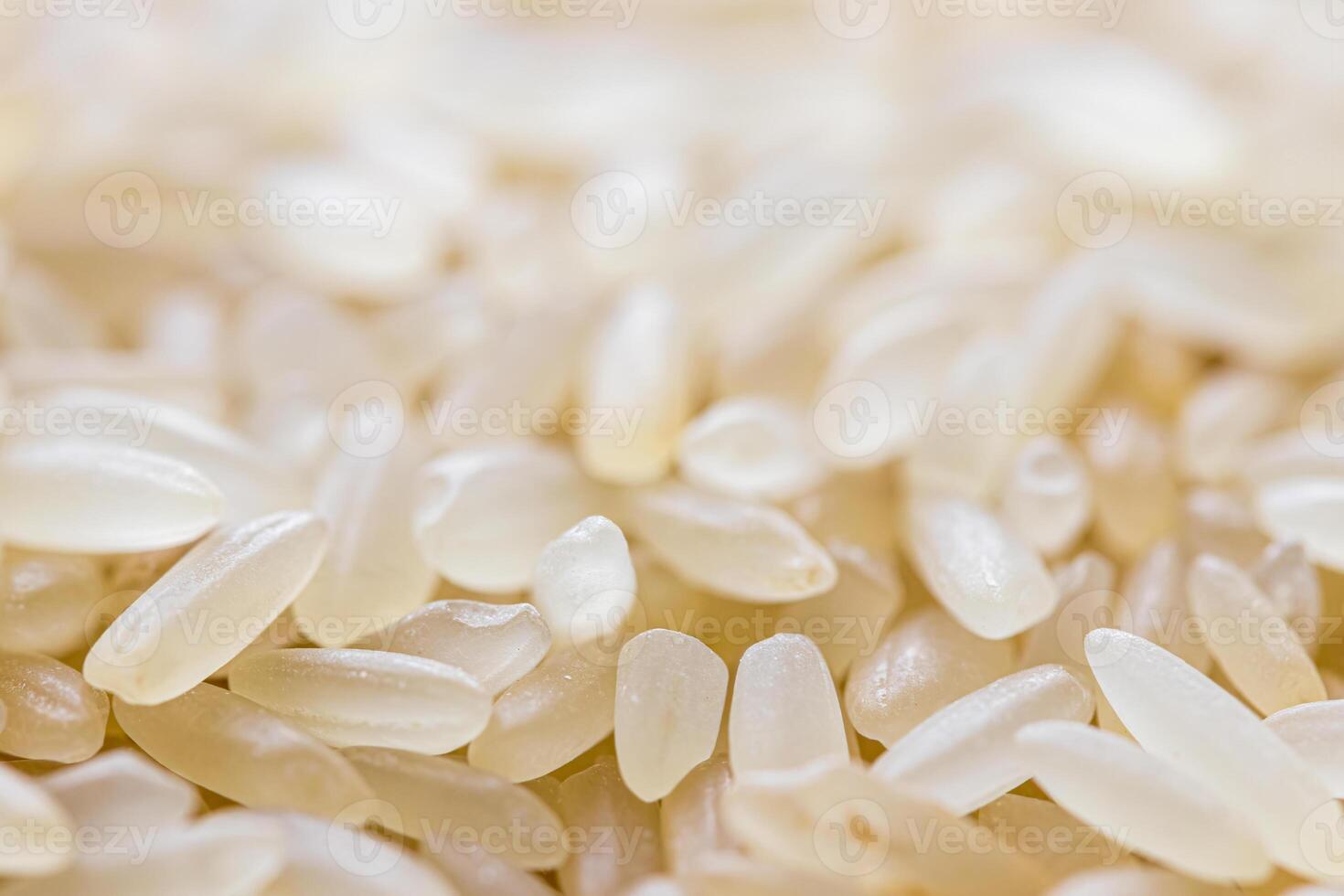 White rice grains background or texture. Gluten-Free and healthy vegeterian food. photo
