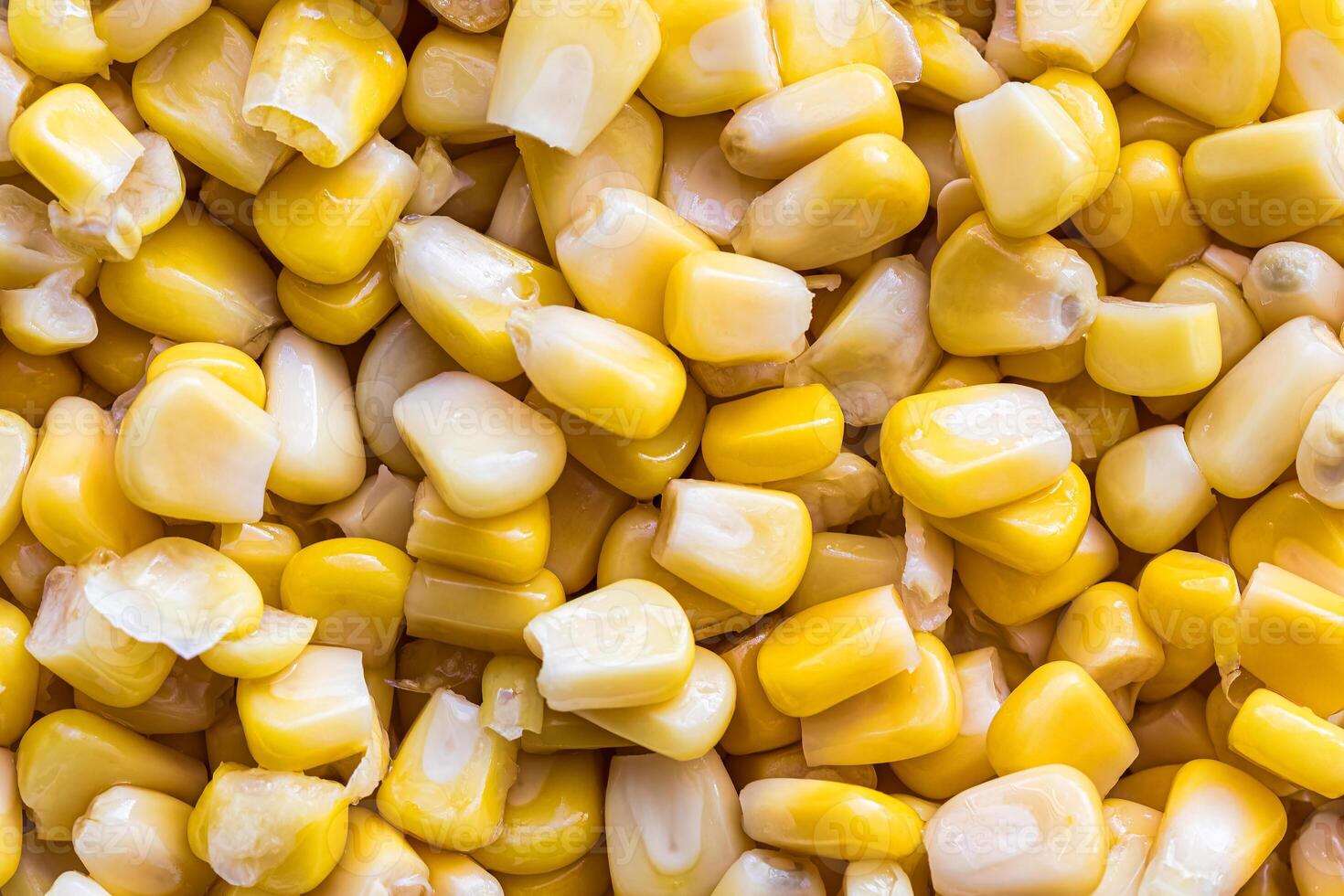 The texture of yellow uncooked corn kernels. photo