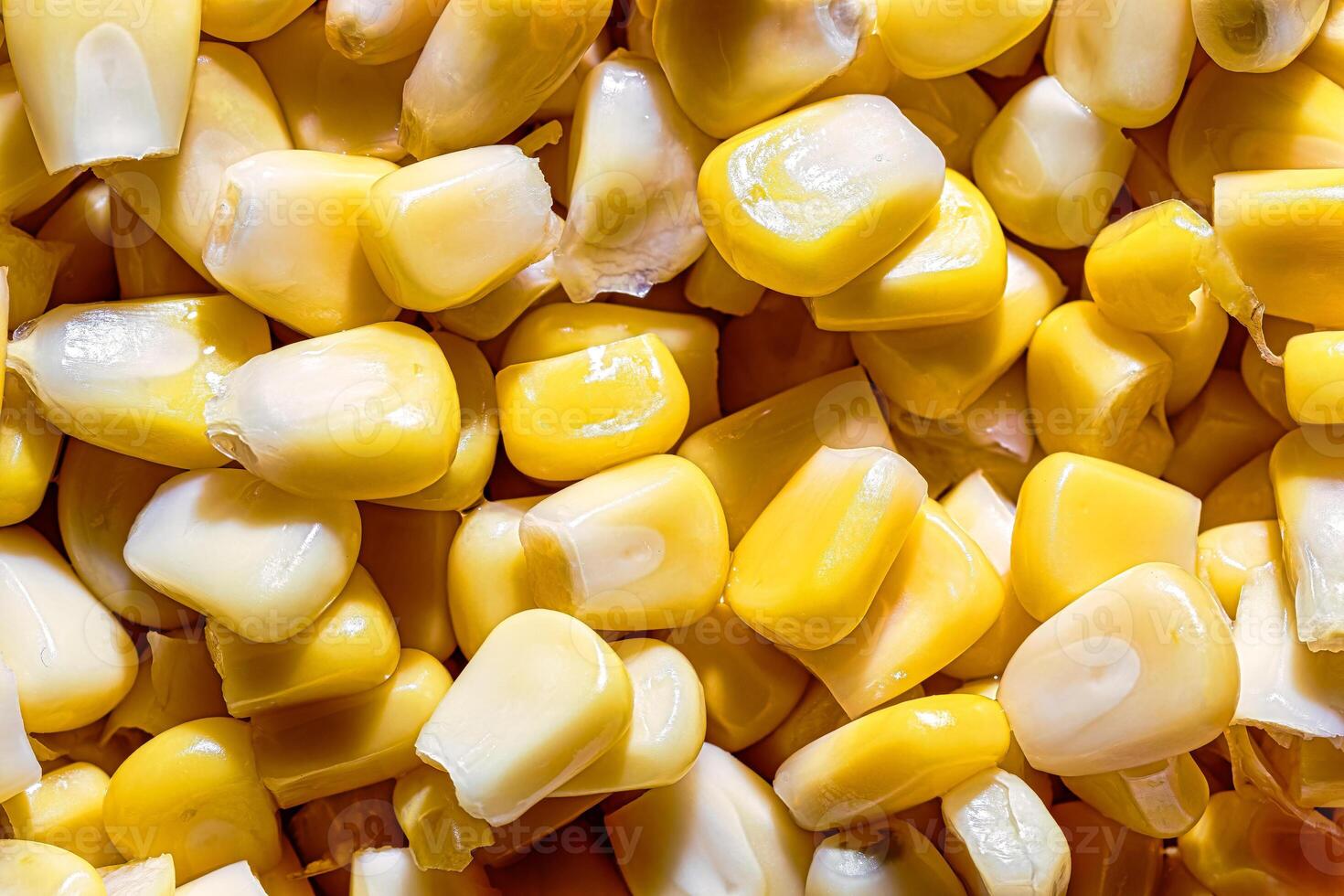 The texture of yellow uncooked corn kernels. photo