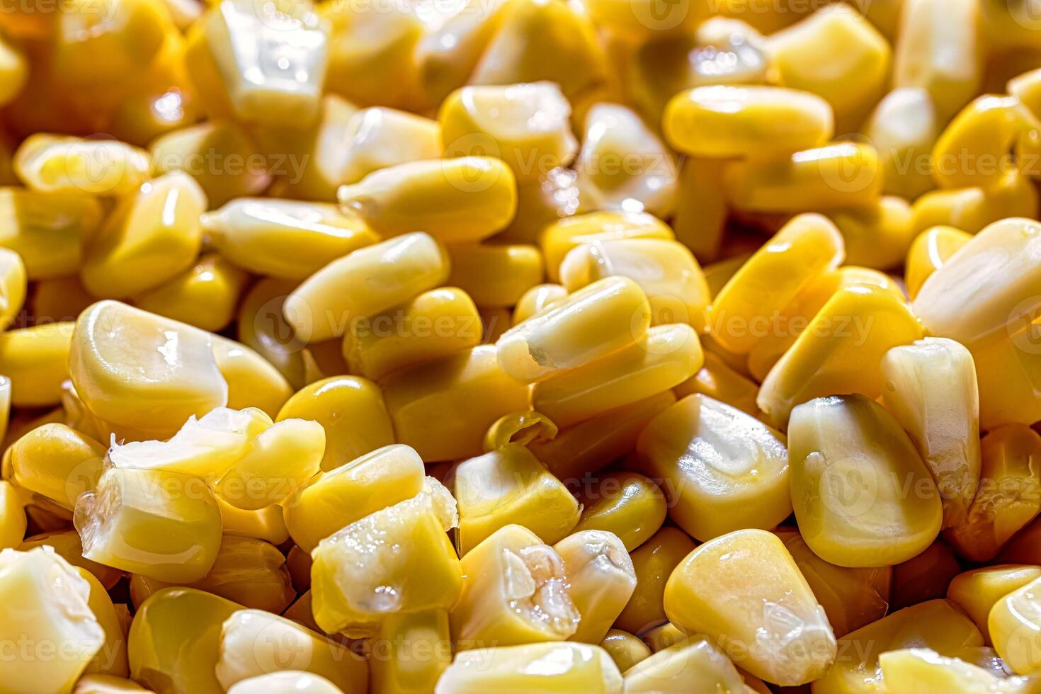 The texture of yellow uncooked corn kernels. photo