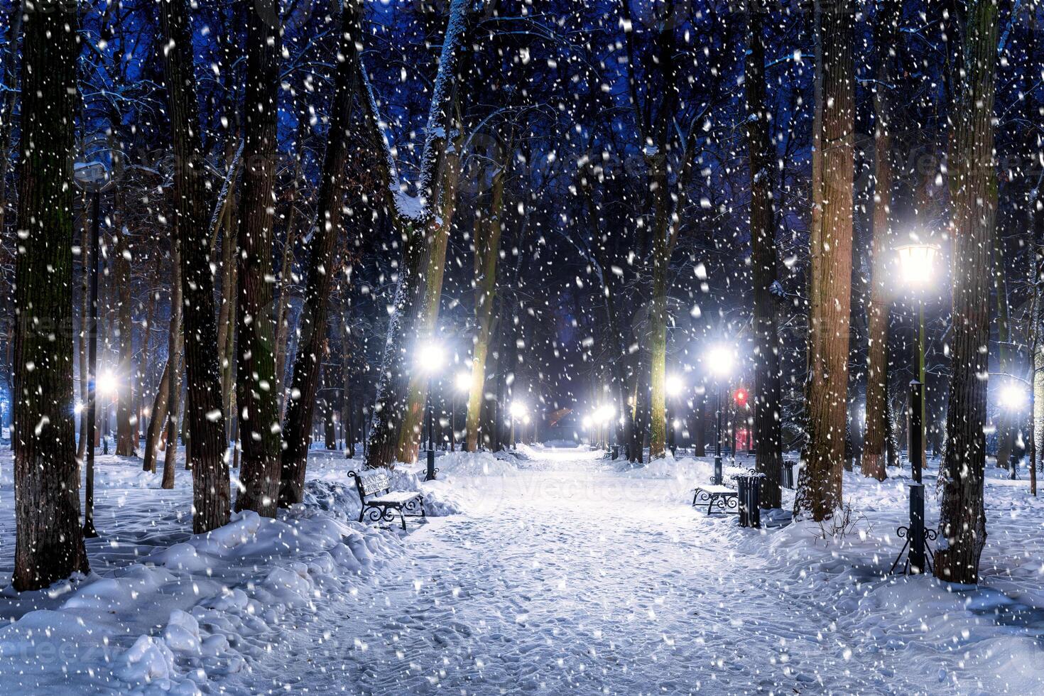Snowfall in a winter park at night with christmas decorations, lights, pavement covered with snow and trees. photo