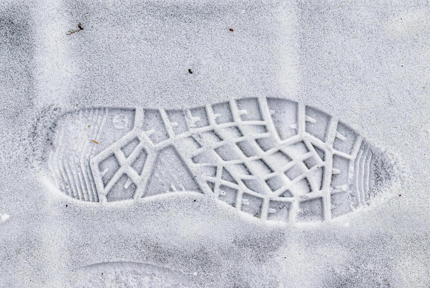 Boot track on thin first snow in winter. photo