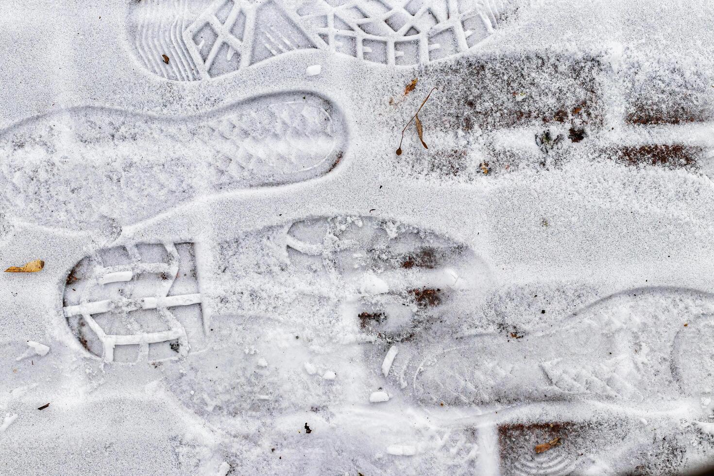 Boot track on thin first snow in winter. photo
