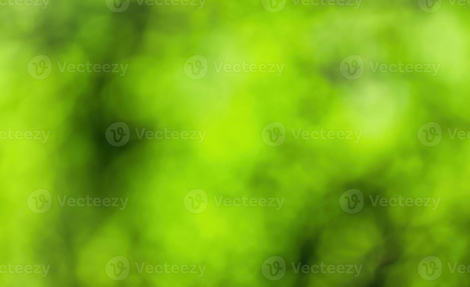 Blurred bokeh background image of bright green foliage in spring or summer. photo