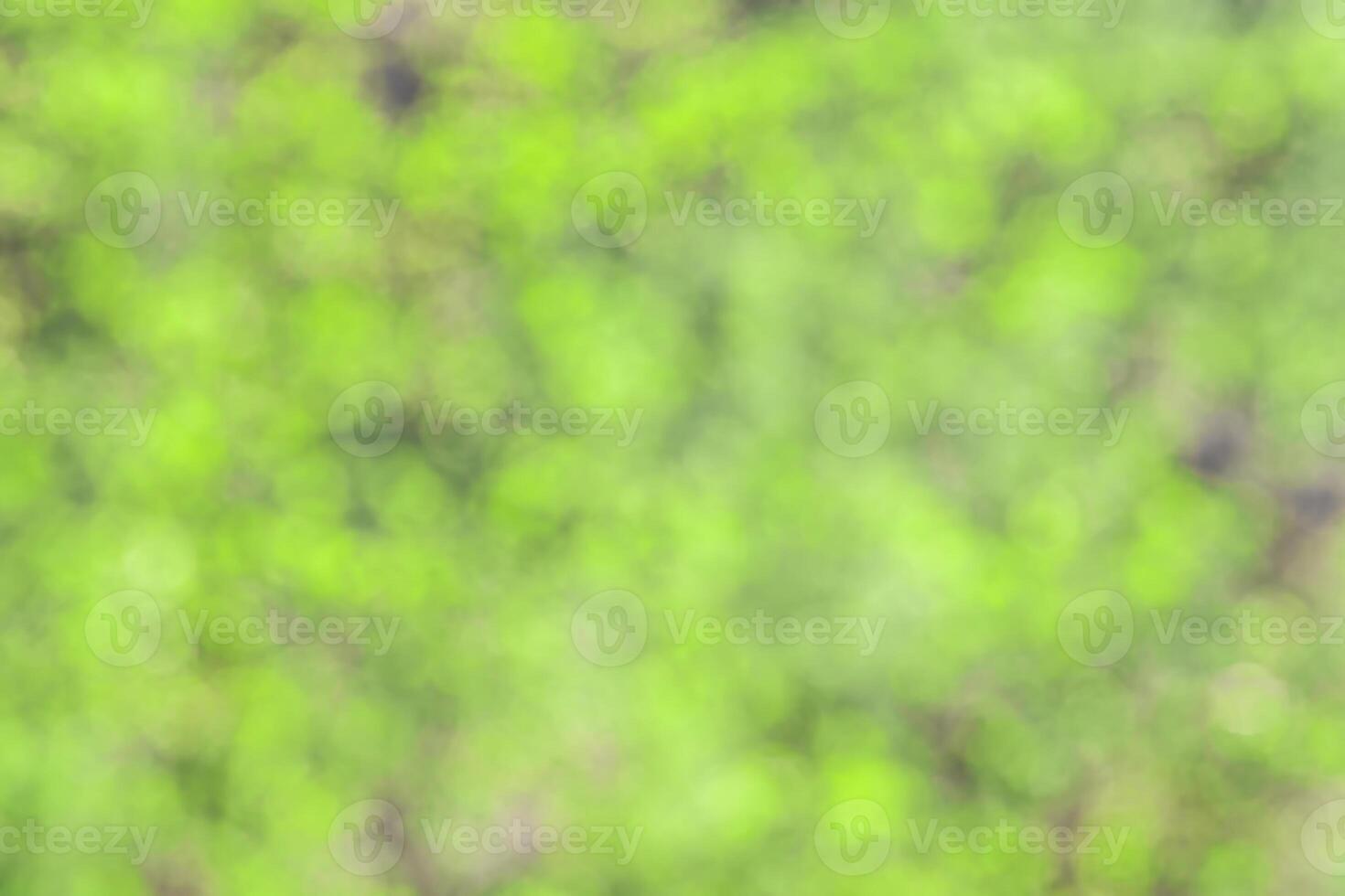 Blurred bokeh background image of bright green foliage in spring or summer. photo