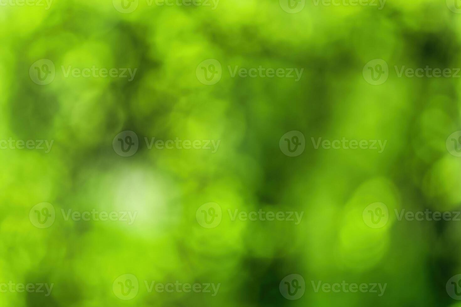 Blurred bokeh background image of bright green foliage in spring or summer. photo