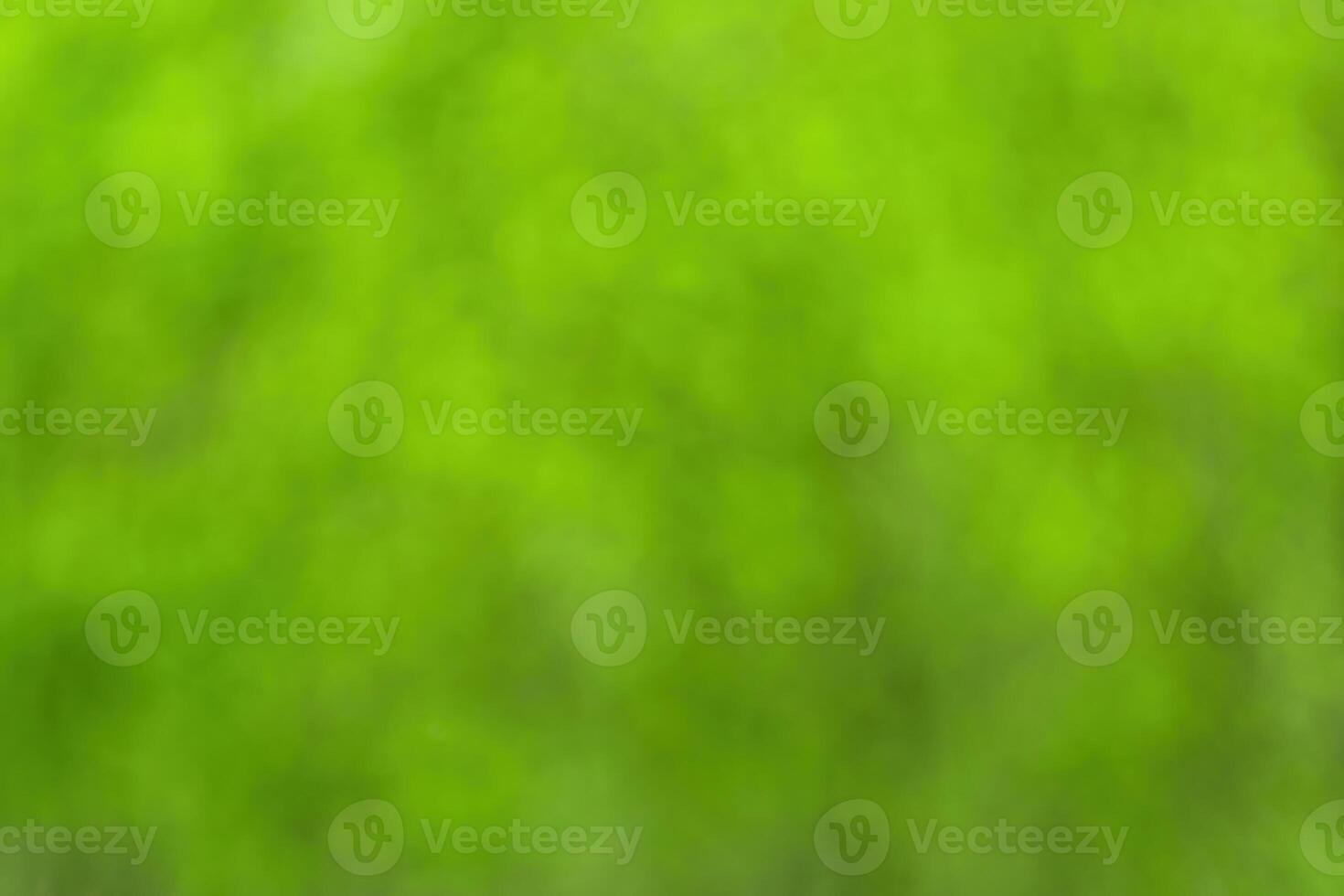 Blurred bokeh background image of bright green foliage in spring or summer. photo