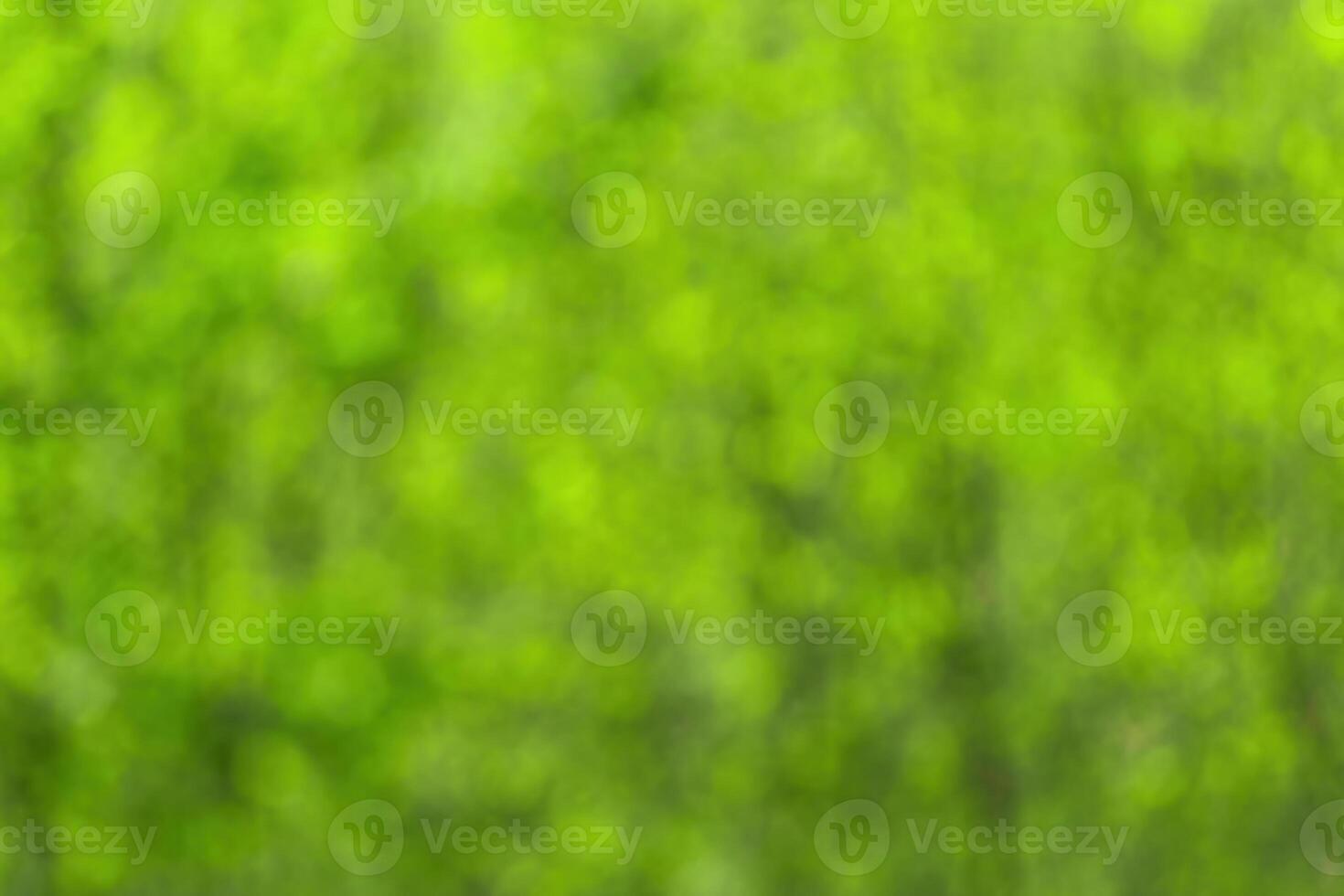 Blurred bokeh background image of bright green foliage in spring or summer. photo
