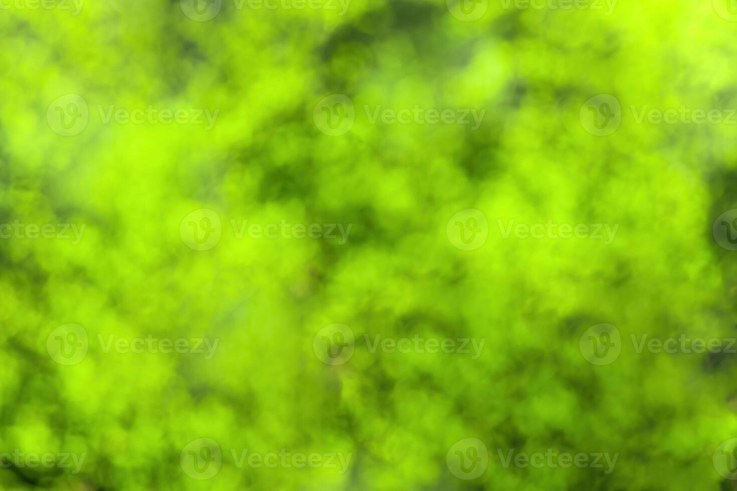 Blurred bokeh background image of bright green foliage in spring or summer. photo