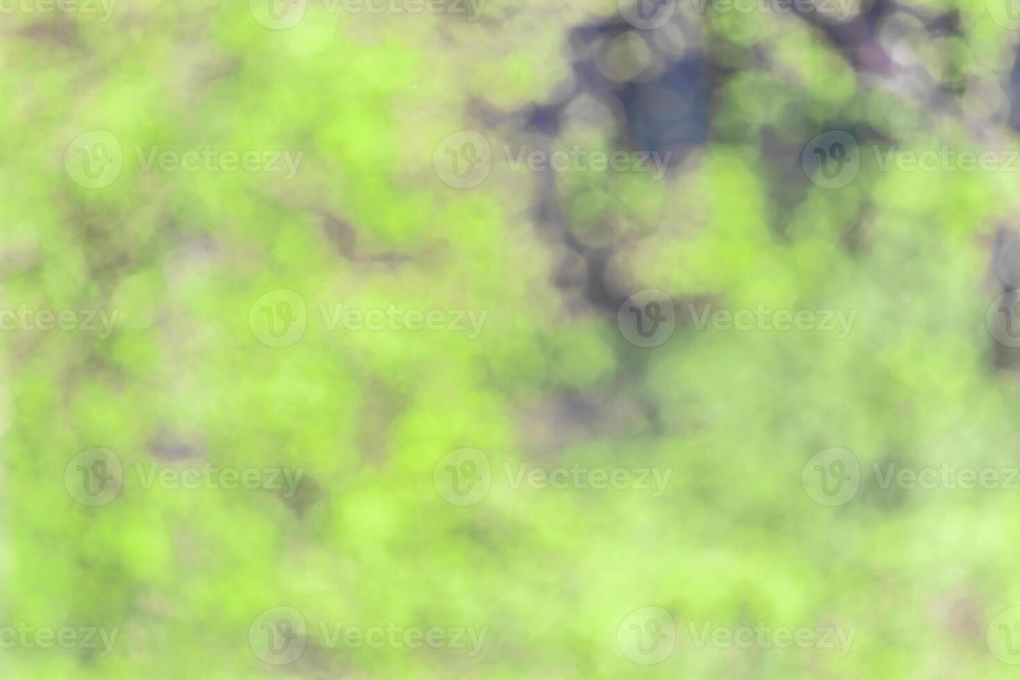 Blurred bokeh background image of bright green foliage in spring or summer. photo