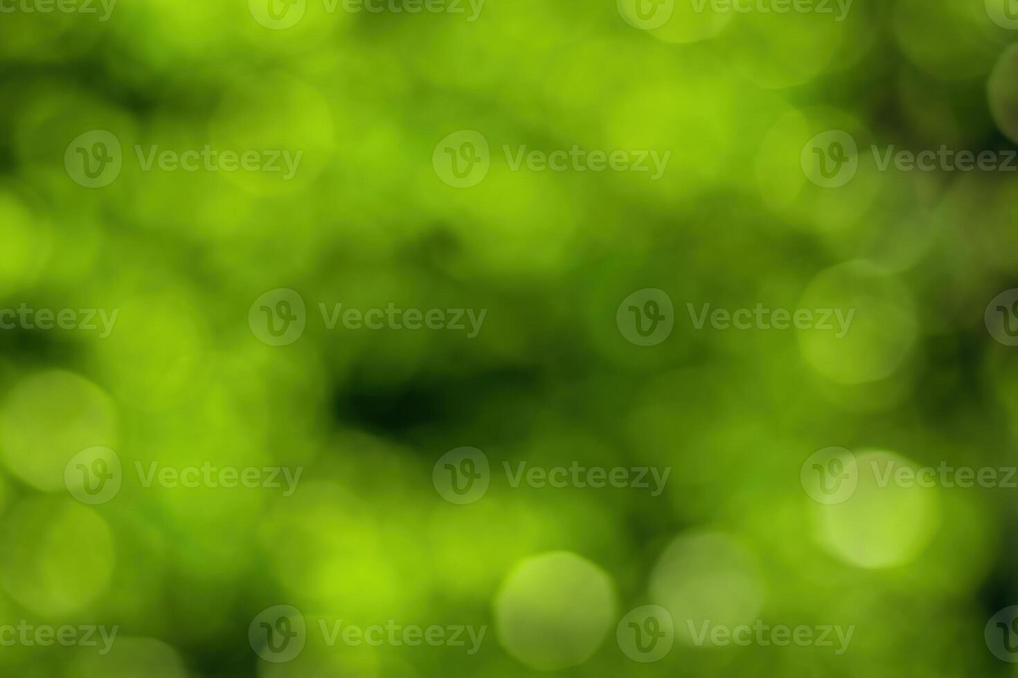 Blurred bokeh background image of bright green foliage in spring or summer. photo