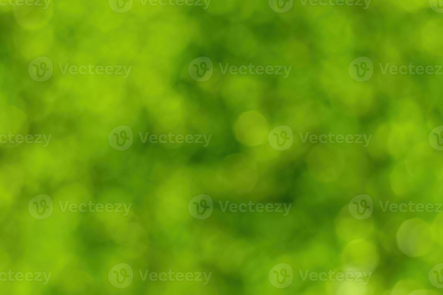 Blurred bokeh background image of bright green foliage in spring or summer. photo