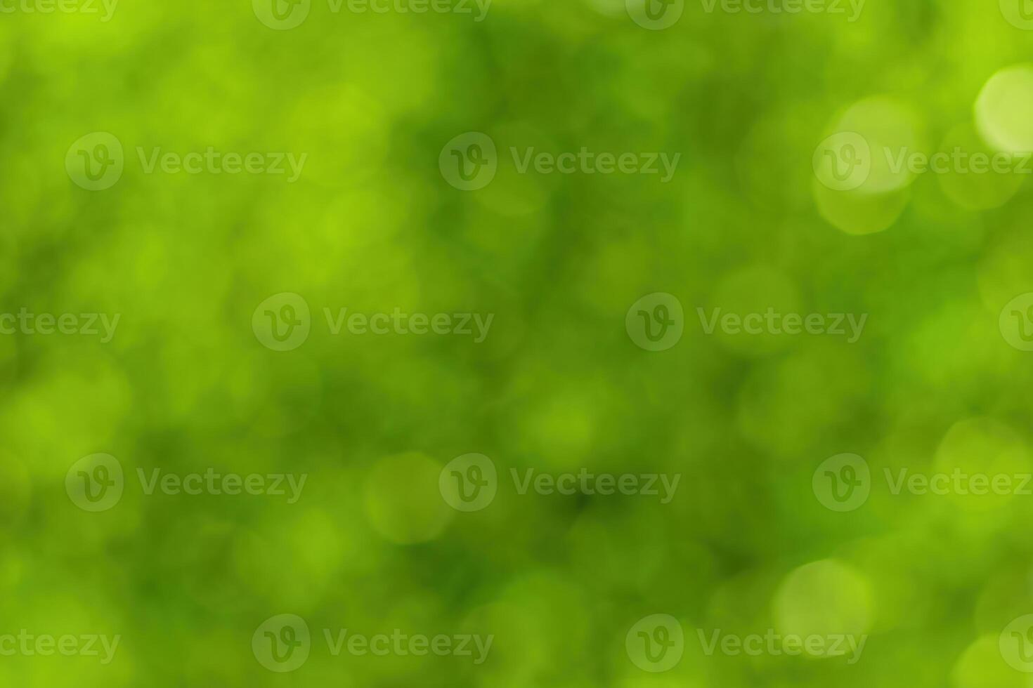 Blurred bokeh background image of bright green foliage in spring or summer. photo