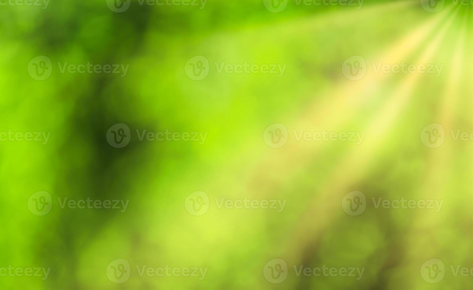 Blurred bokeh background image of bright green foliage and sunbeams in spring or summer. photo