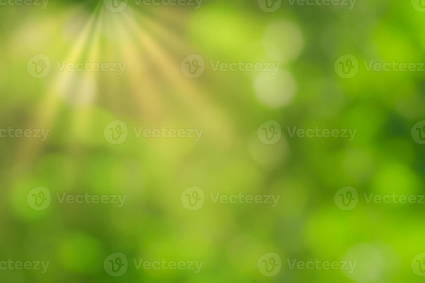 Blurred bokeh background image of bright green foliage and sunbeams in spring or summer. photo