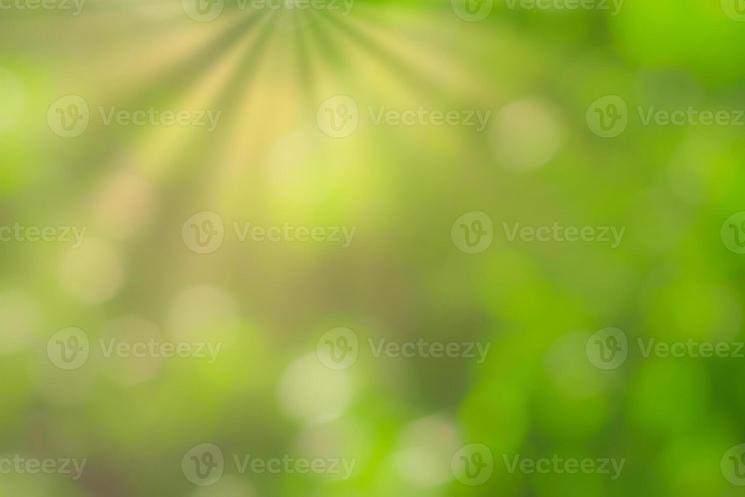 Blurred bokeh background image of bright green foliage and sunbeams in spring or summer. photo