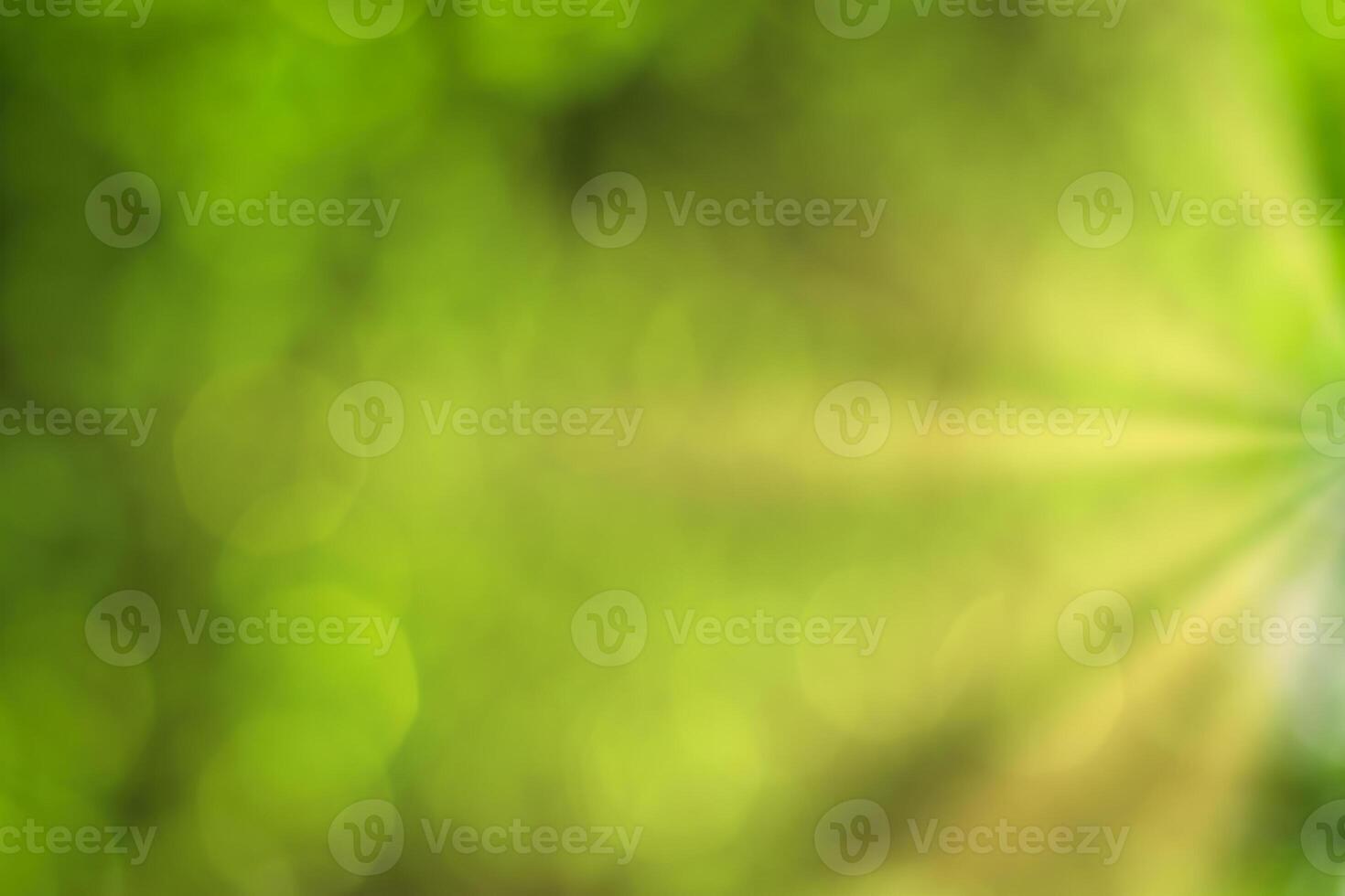 Blurred bokeh background image of bright green foliage and sunbeams in spring or summer. photo