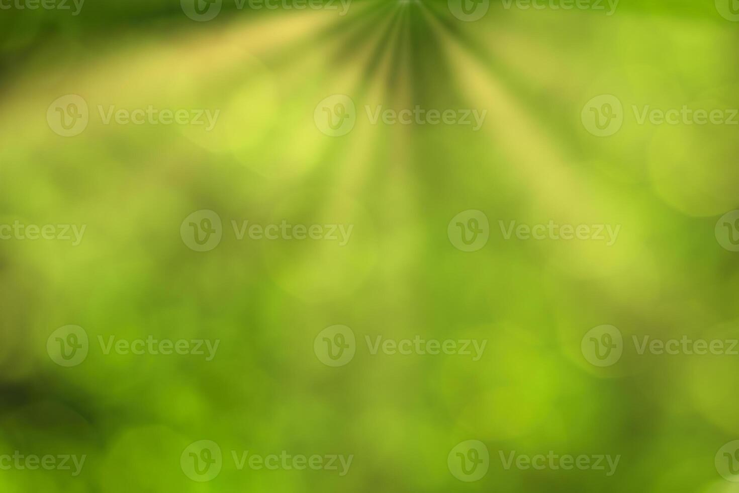 Blurred bokeh background image of bright green foliage and sunbeams in spring or summer. photo